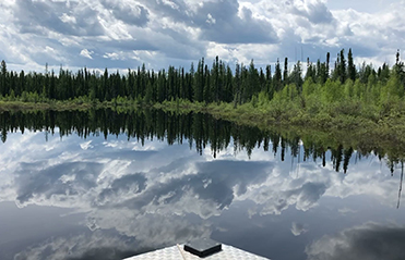 reflection of spruce trees on lake